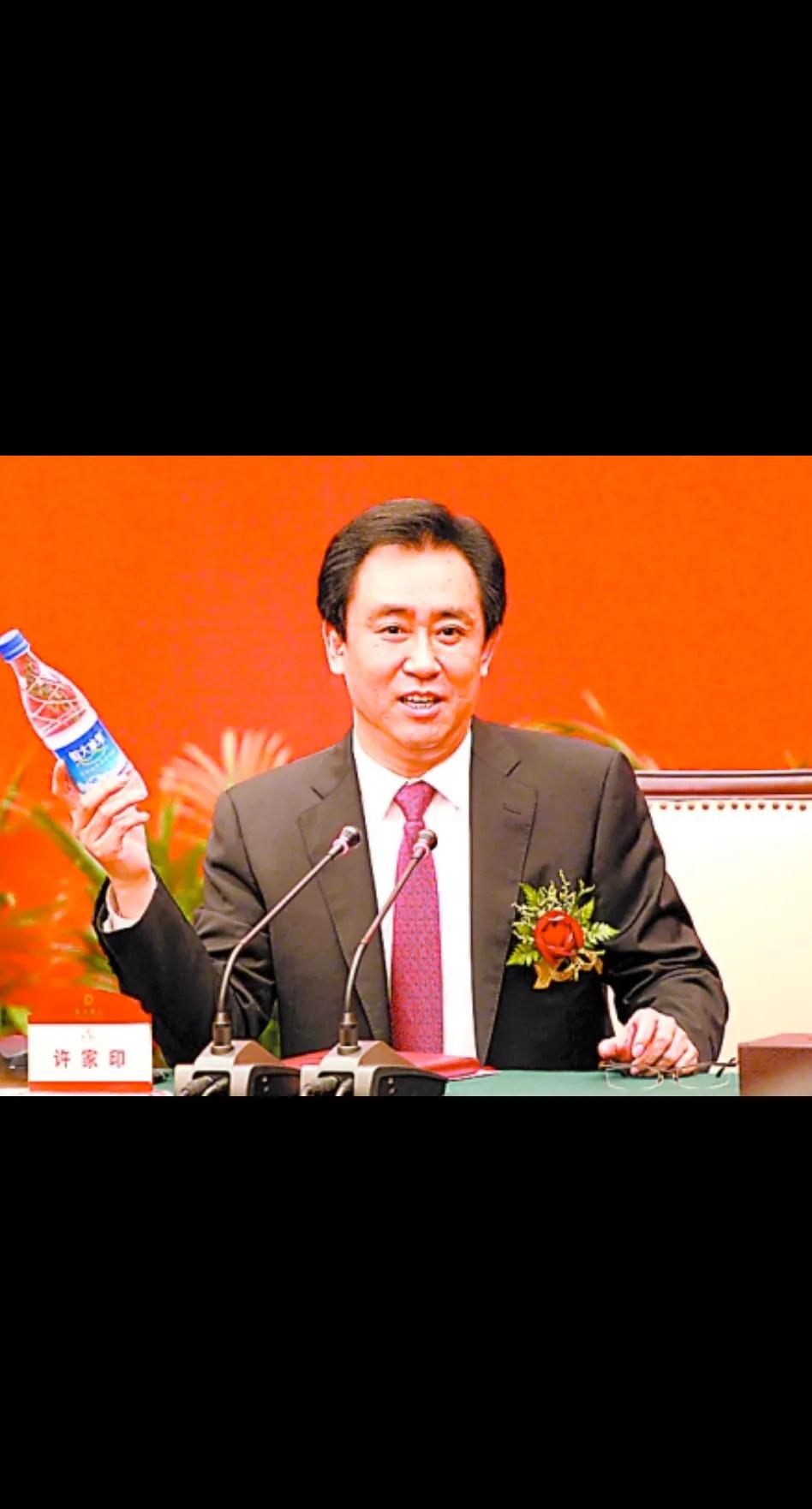 许家印未来的路,许家印的崛起与危机