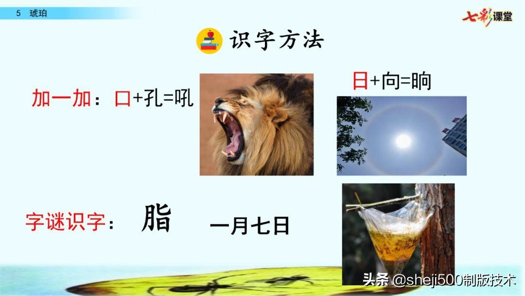 语文书四年级下册第5课琥珀预习,四年级下册第5课琥珀的思维导图