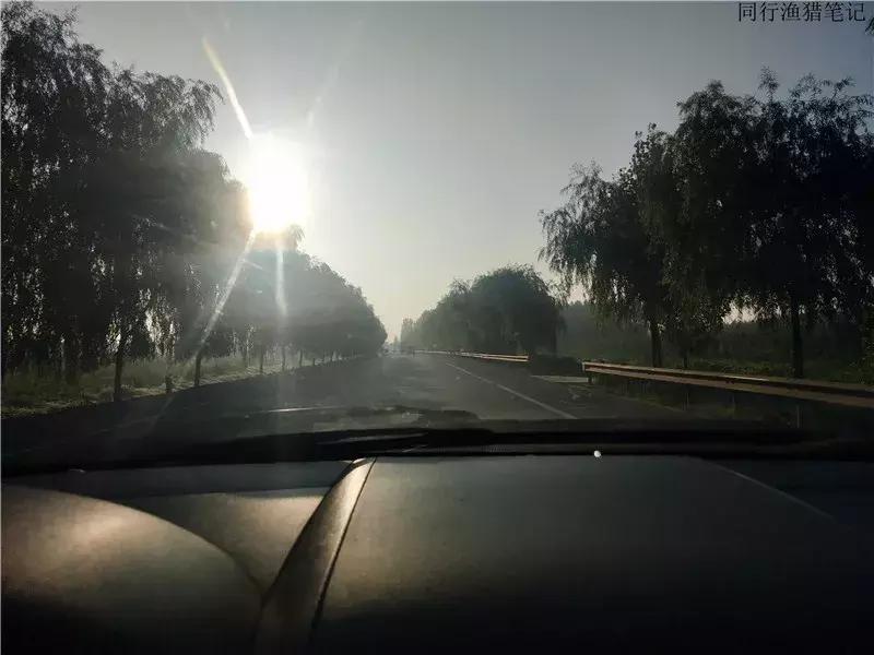 钓鱼日记第19天,钓鱼游钓日记100篇