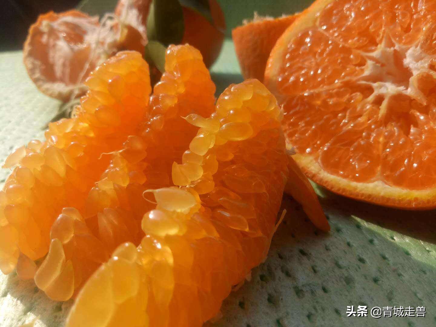 开春适合吃什么蔬菜和水果,开春了见到这5种水果别手软