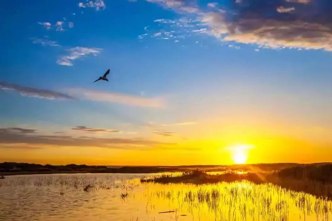 岑参边塞诗和古丝绸之路,岑参是唐朝著名的边塞诗人