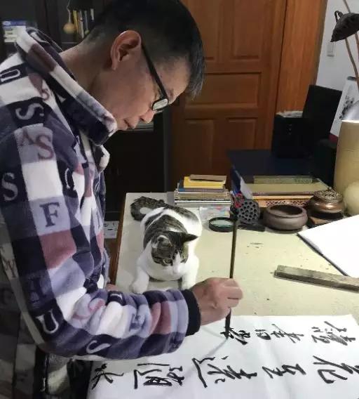 养猫后儿子鼻过敏，妈妈心生一计：不如你搬出去住吧！