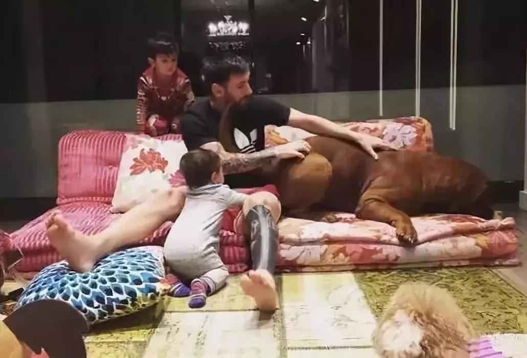 梅西和c罗谁豪宅最好,身价十亿的球星