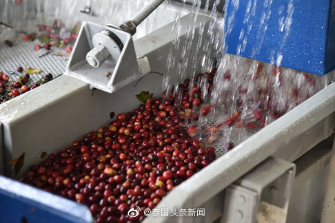 新冠疫情对亚洲经济影响,新冠疫情对国际贸易的影响