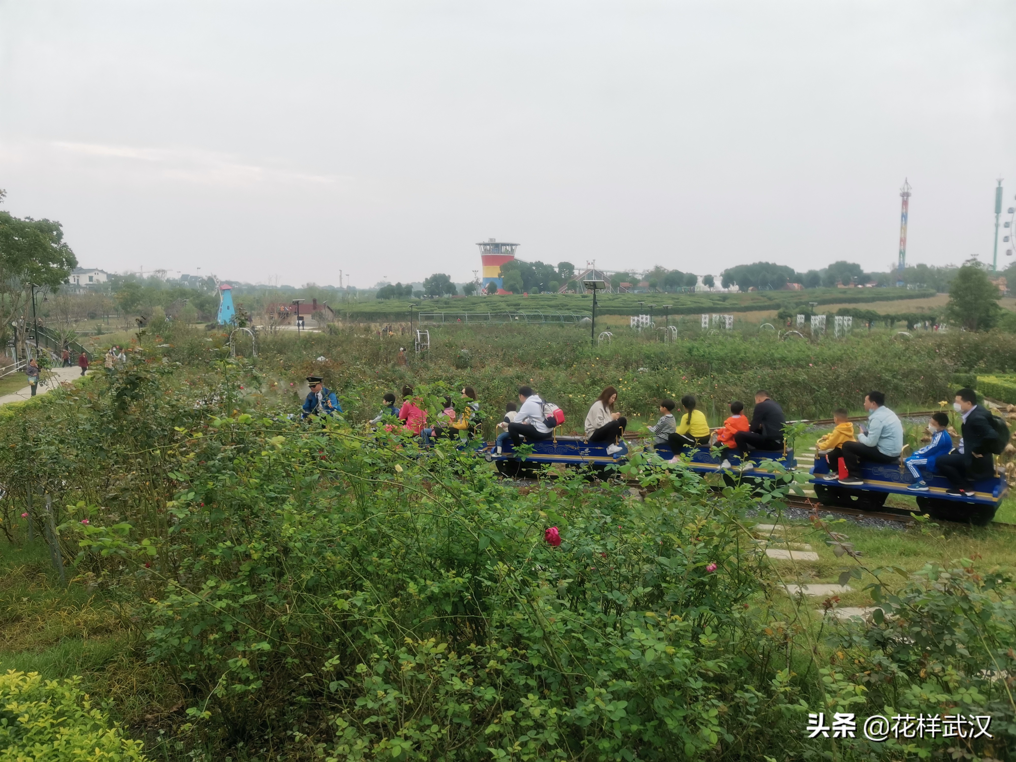 武汉花博汇一天游玩大概多少钱,武汉花博汇值不值得玩