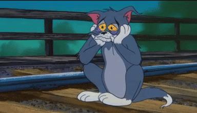 医生建议养猫治愈抑郁症,抑郁症养猫还是养狗好