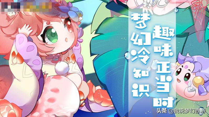 梦幻人物冷知识大全,梦幻哪个法术技能能吸血