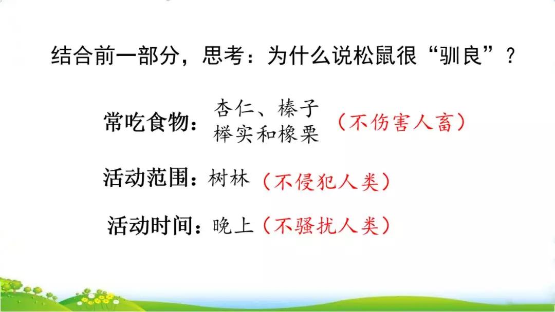 五年级语文第17课松鼠讲解,五年级上册第17课松鼠教材详解