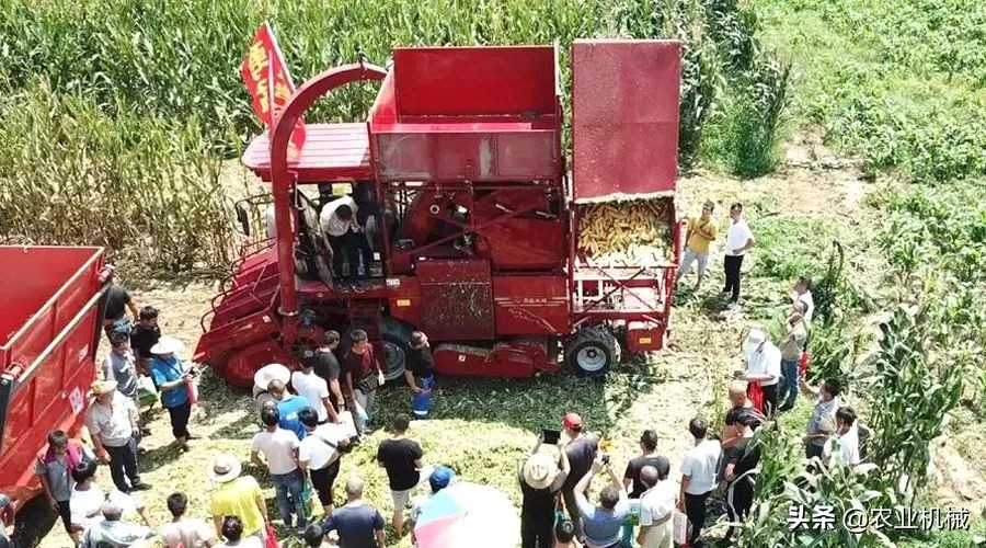 勇猛机械专注玉米收获,勇猛二行玉米收获机多少一台