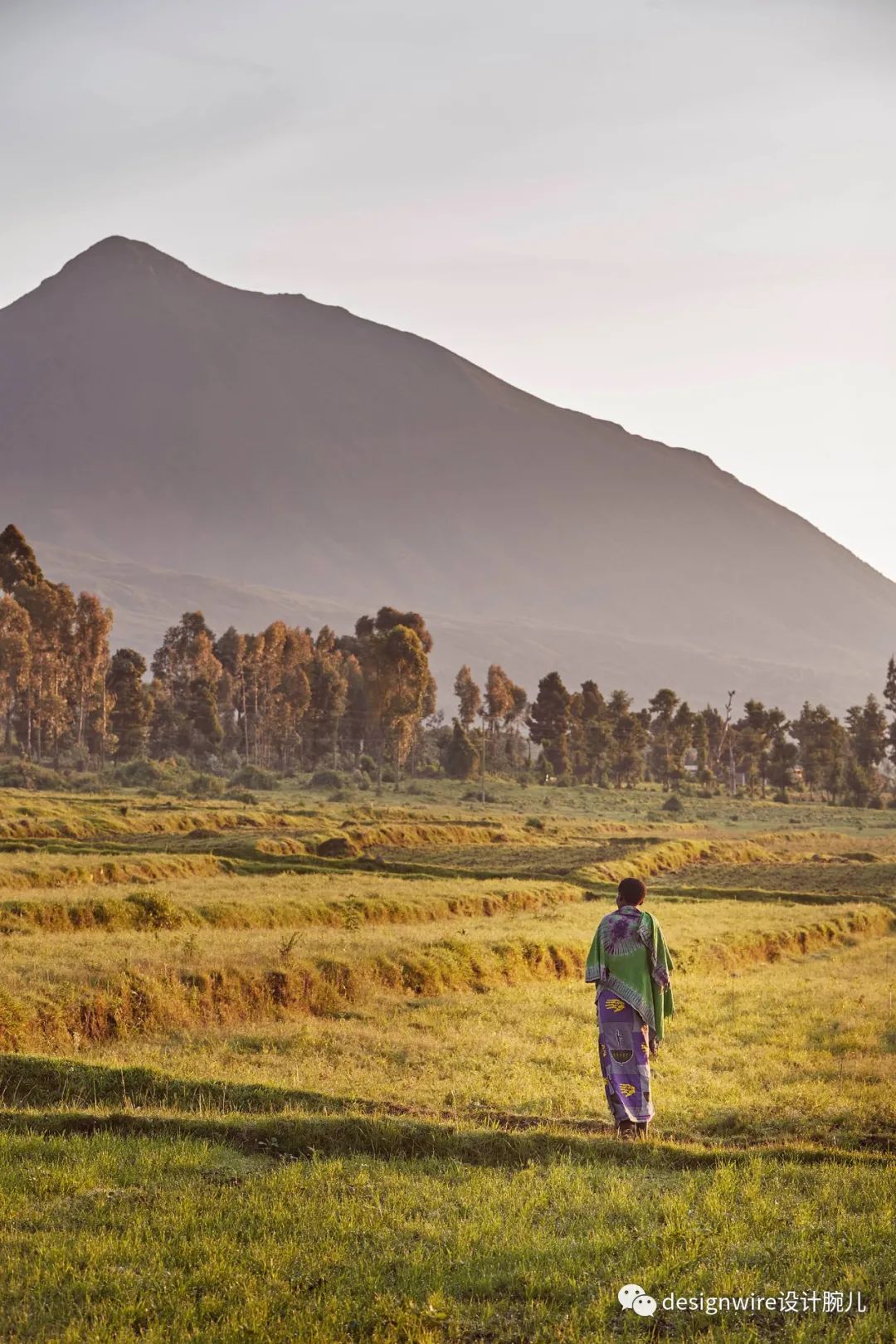 全球只有三家的酒店迪拜,oneandonly酒店