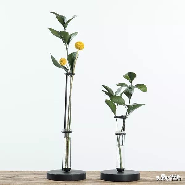 柠檬树装饰材料,柠檬树家居用品