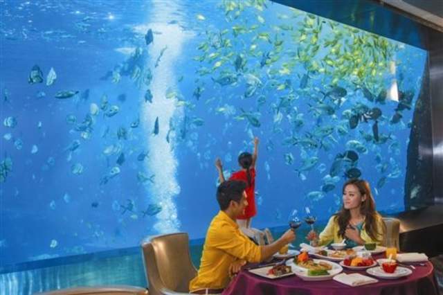 珠海长隆海洋王国游玩简介攻略,长隆海洋王国玩1天