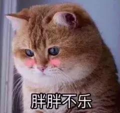 泰国落地签证免费还需要电子签吗,泰国电子落地签证要多久出签