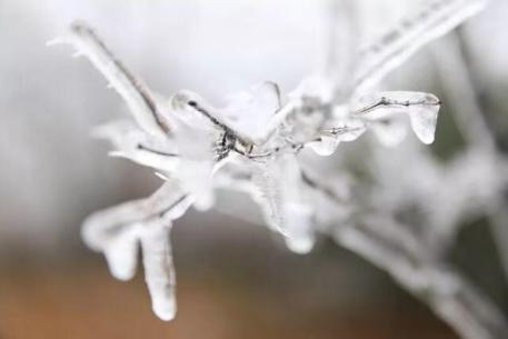 南昌新增一处网红打卡地,南昌网红打卡地适合孩子玩