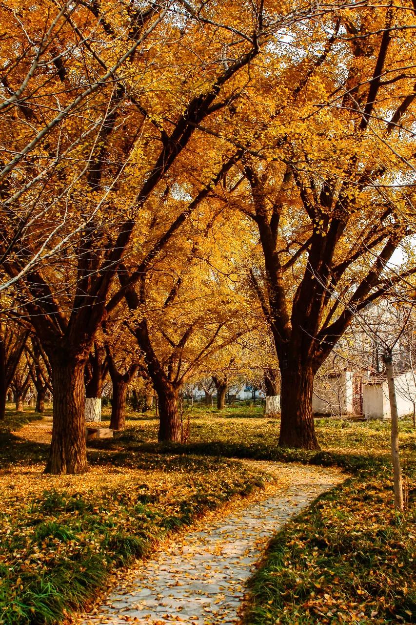 泰州中国最幸福的城市,泰州哪里比扬州好