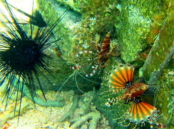 一半是海水一半是蓝天，这就是西沙群岛！我是登岛的第46066人