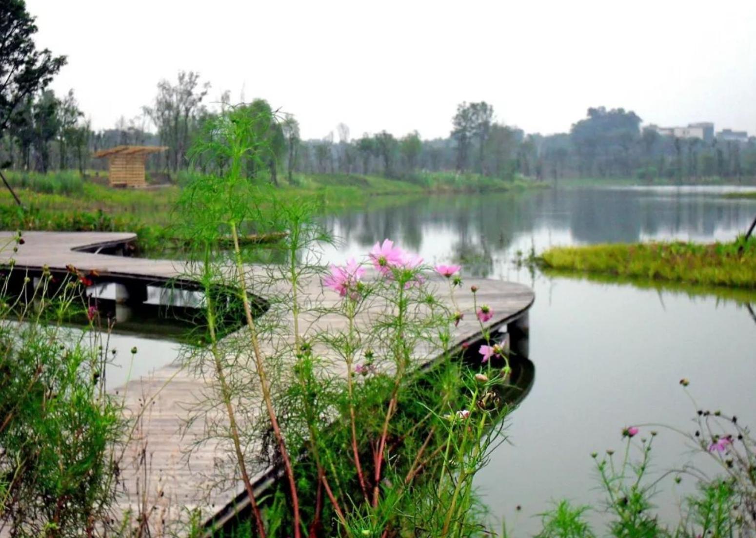 成都周末公园游玩攻略,成都散心公园游玩攻略