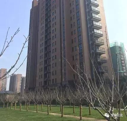 南京江北4号线新楼盘,南京地铁盘怎么样