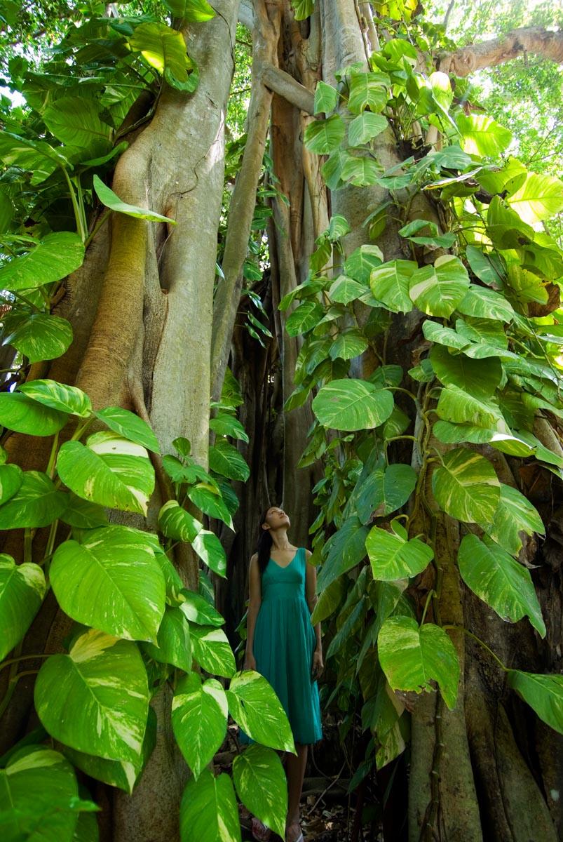 库拉玛蒂岛拥2KM拖尾长滩，水屋受国人追捧，2019一价全包玩马代