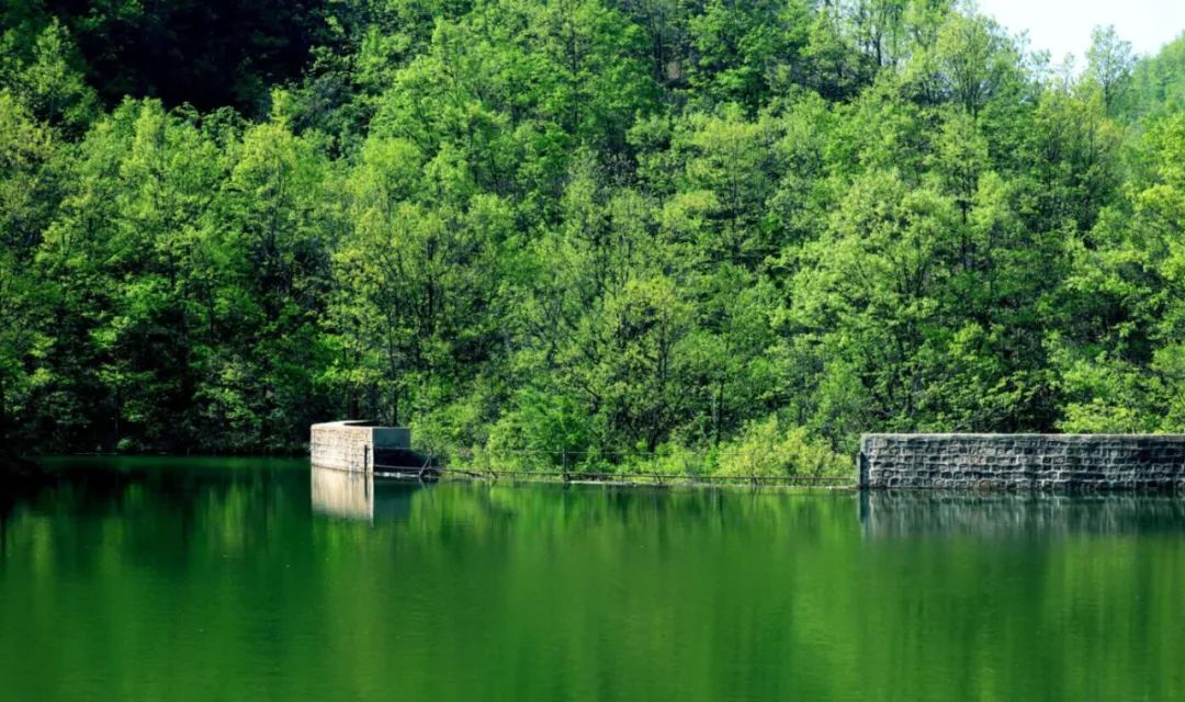 洛阳附近避暑山庄,洛阳最美避暑山景区介绍