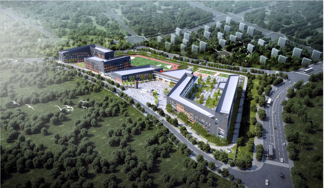 新蒲的学校,新蒲新区附近有什么学校