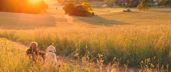 马利与我大结局,马利和我完整版免费观看