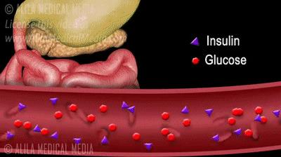中医可以调理糖尿病降低餐后血糖,姜对降血糖的作用和功效