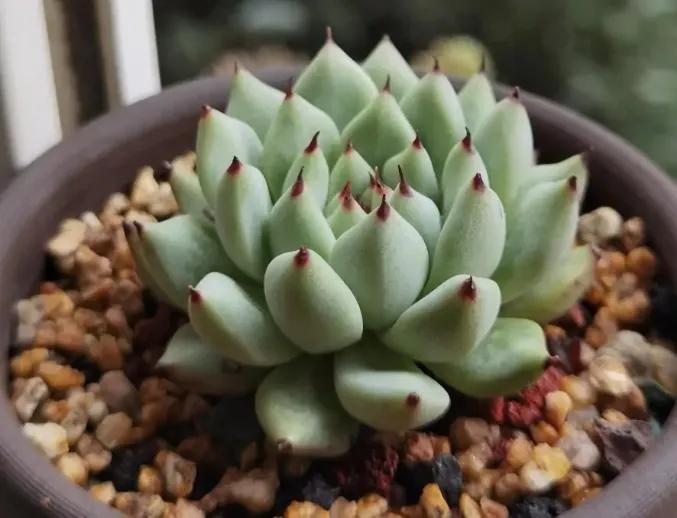 麦饭石水杯正确使用方法,麦饭石锅第一次怎么使用