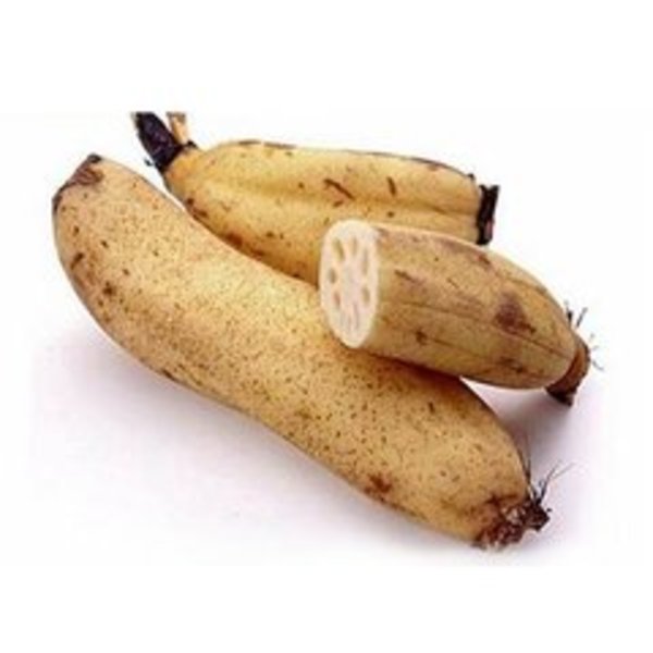 爱莲说的翻译简短50字,爱莲说句子翻译