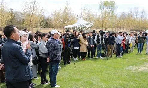 陈文令麦道夫最新信息 (陈文令对麦道夫的评价)