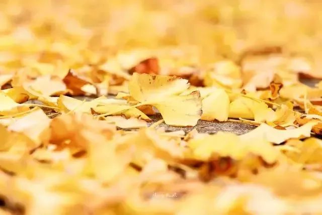 八九月，最值得去的神秘地方美丽风景。