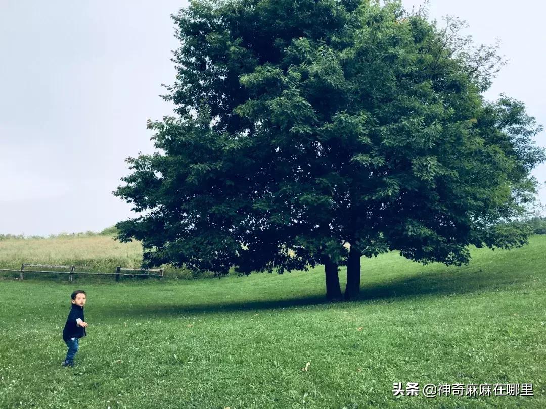 买学区房还是买适合住的房子,到底是买学区房还是租房