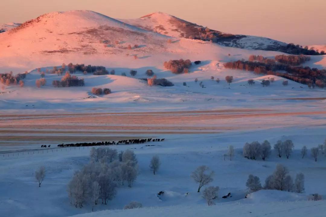 冬日的坝美有多美,冬日的坝上草原