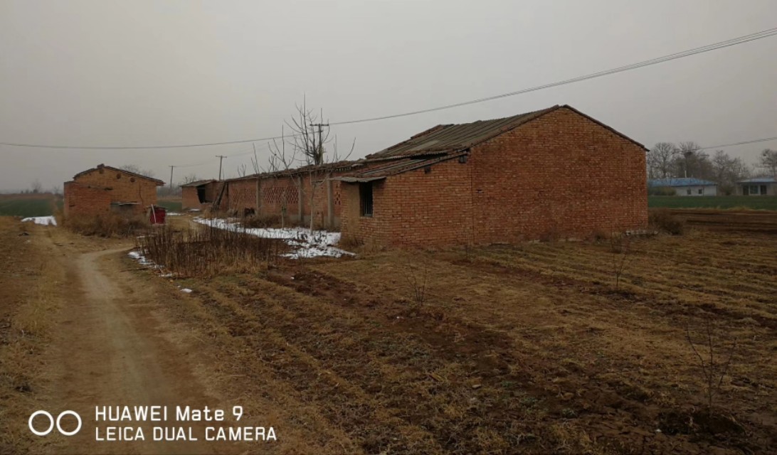 三农乡村振兴陕西,富平乡村振兴