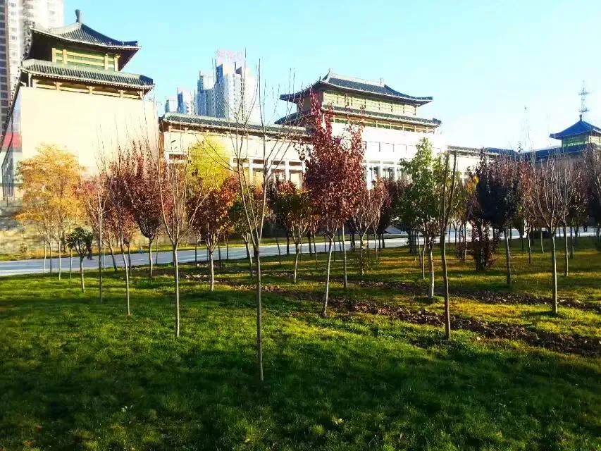 西宁一座美丽城市,西宁有哪些特色建筑名称