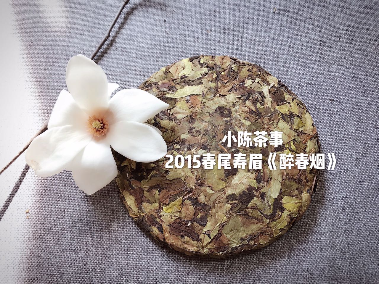 三分钟解读新白茶和老白茶的区别,白茶老白茶怎么选