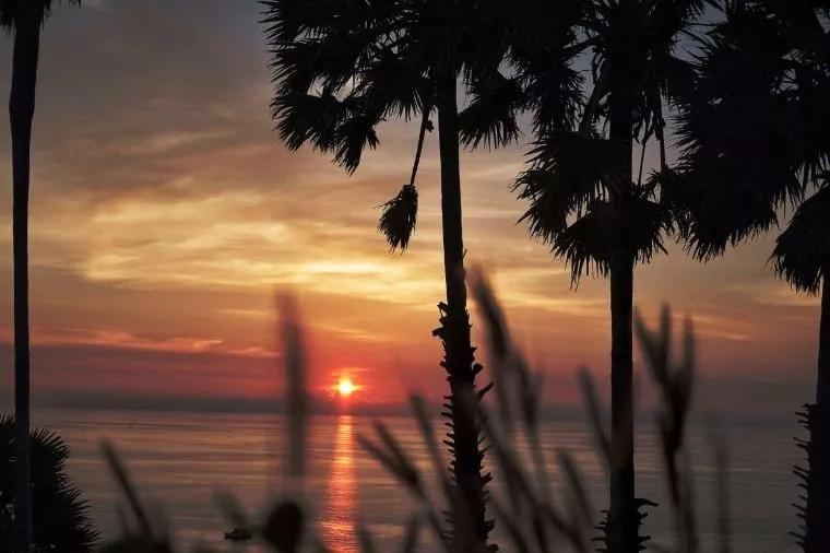普吉岛自由行美食全攻略,普吉岛旅游攻略美食