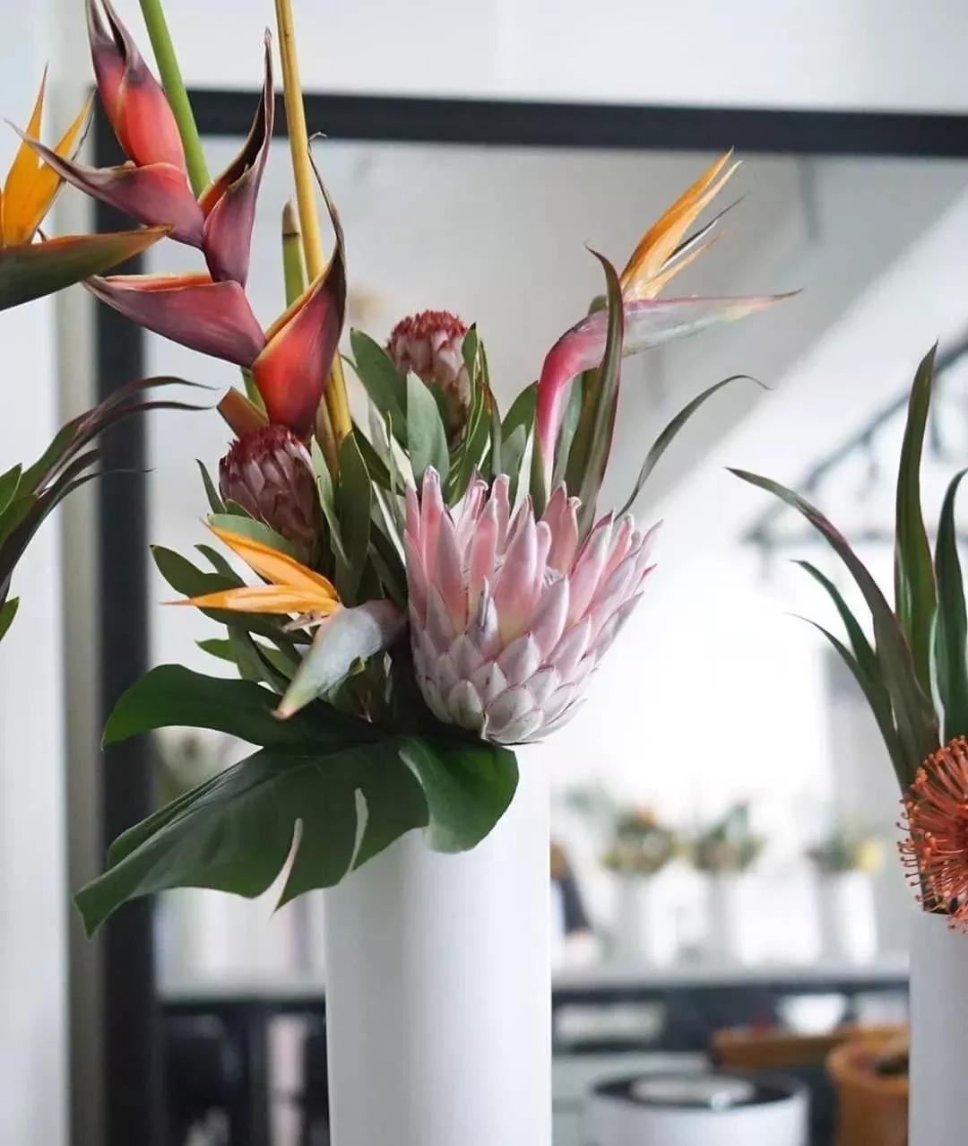 花材不剪枝如何养护,花材不用换水养护方法大全