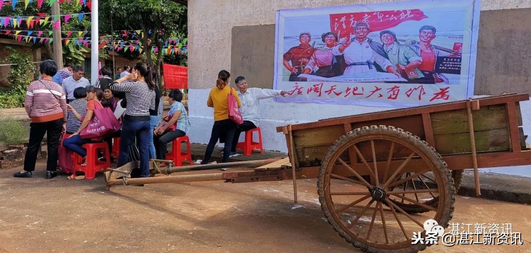 知青下乡49周年纪念活动,纪念知青下乡50周年图片图文