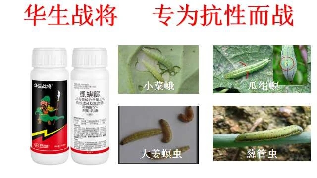 抗性稗草打不死怎么办,抗性超了怎么办