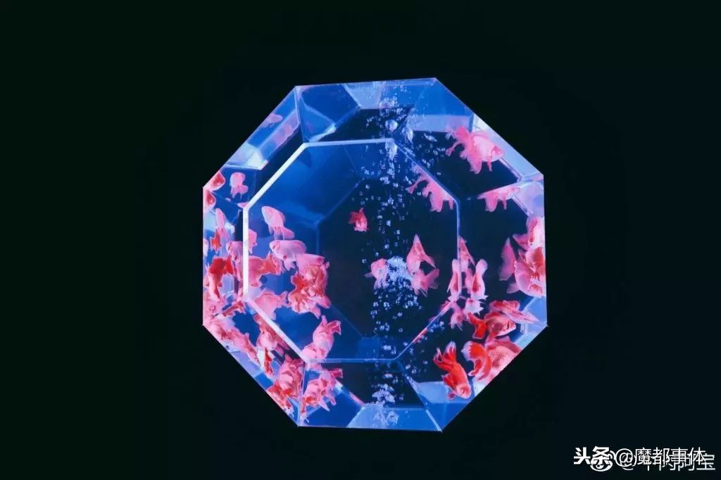 上海天安千树网红打卡点,上海打卡必去的地方排名