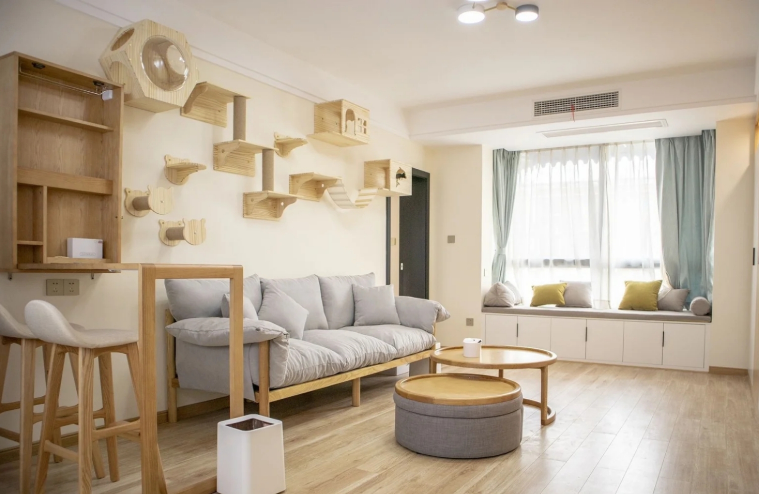 装修分享|养猫指南：铲屎官必看家装攻略