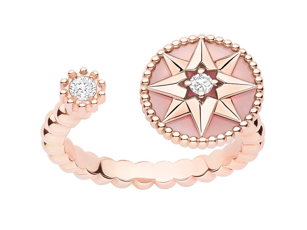 dior设计图手绘,dior罗盘玫瑰价格