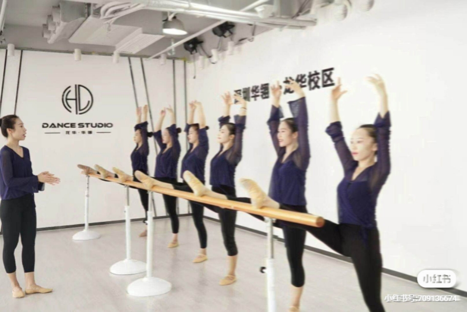 全日制专业舞蹈培训，零基础舞蹈教学