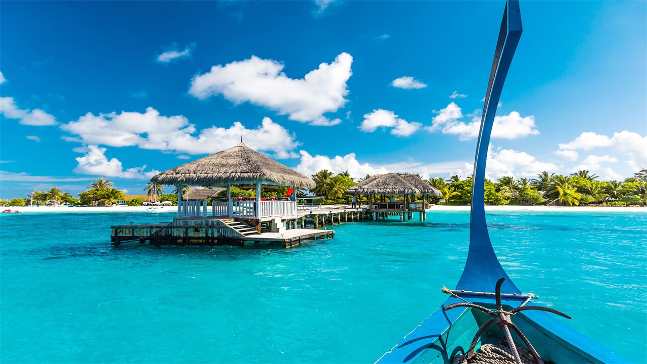 巴厘岛榴莲最新消息,巴厘岛榴莲凉了吗