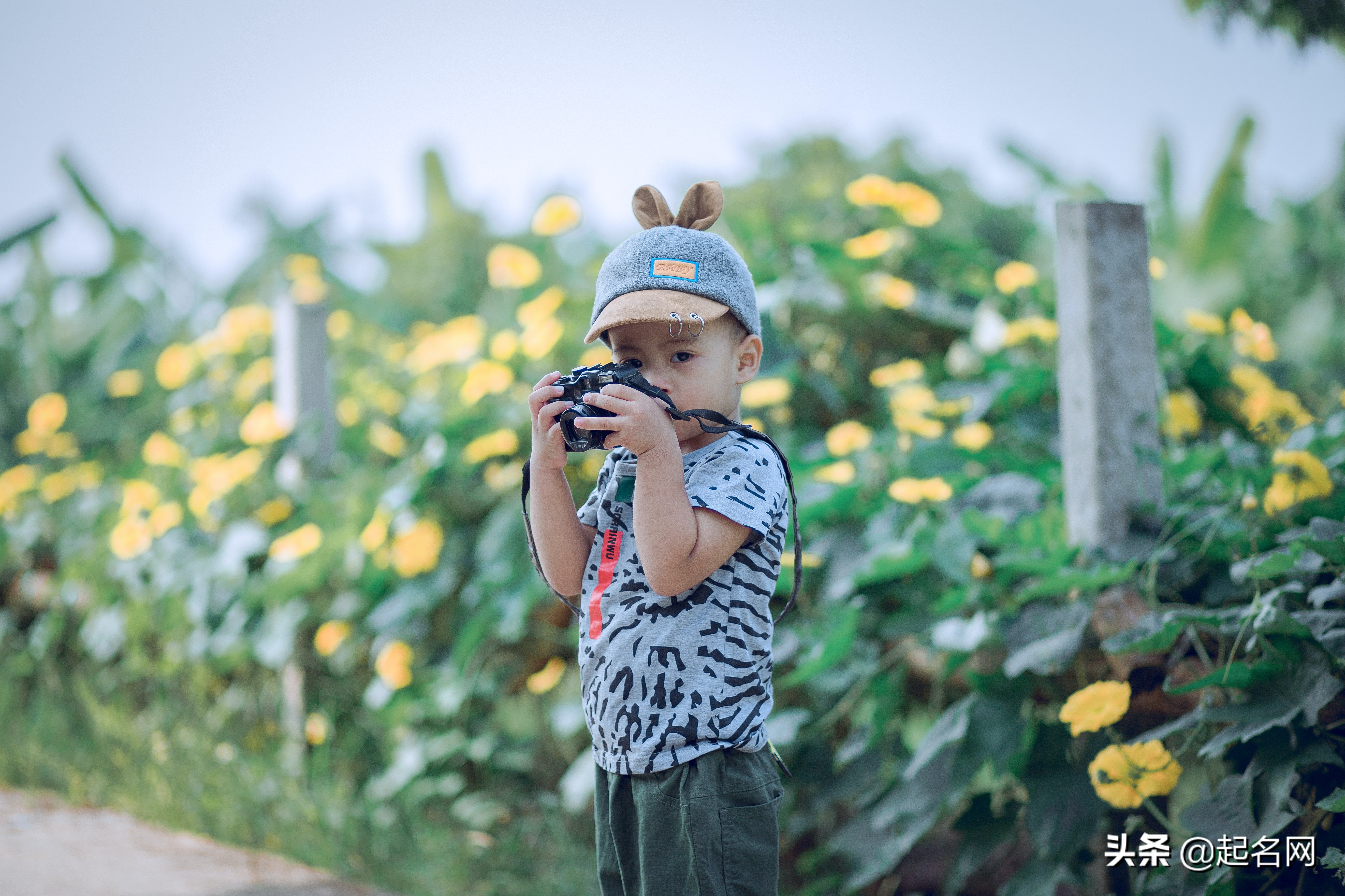 根据父母姓名给孩子起小名,好听可爱俏皮的宝宝小名