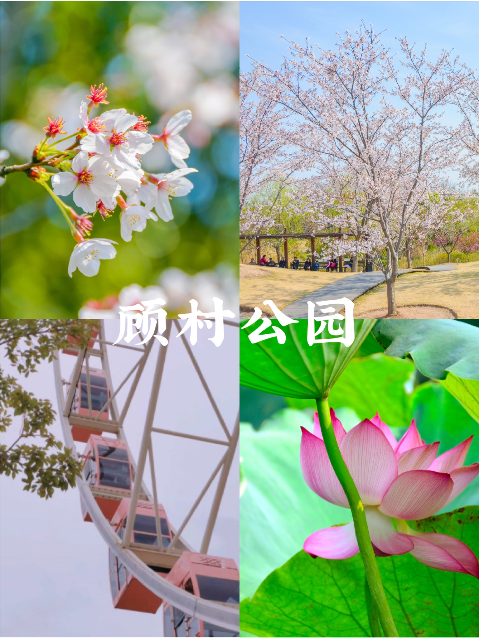 金秋上海最值得逛的公园,上海适合游玩的公园排行榜