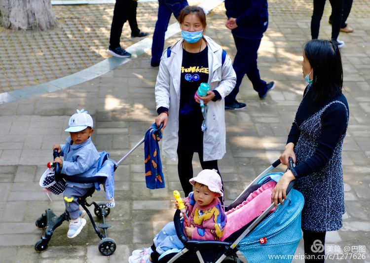 看洛阳牡丹花卉节,洛阳古都牡丹花展