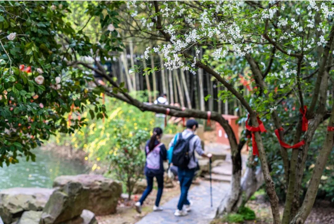 苏州东山景区攻略图高清,苏州东山风景区游玩攻略图片高清