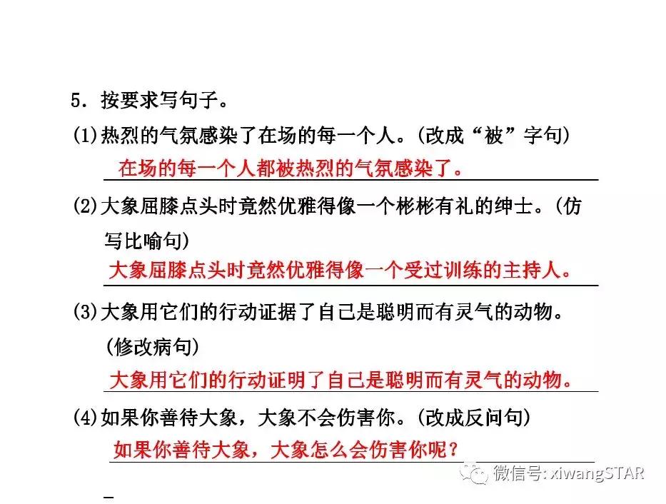 与象共舞语文五年级下册老版,五年级下册与象共舞阅读